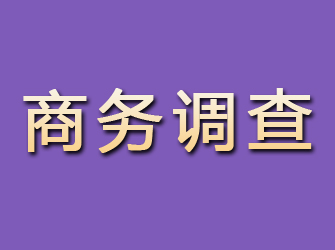 冷湖商务调查